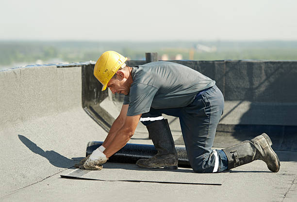 Best Insulation Materials and Products in Hayfield, MN