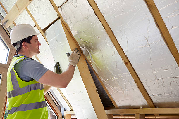 Best Insulation Installation Services in Hayfield, MN