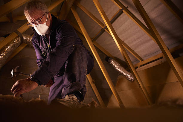 Best Commercial Insulation in Hayfield, MN